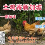 如何将国内购买的真宗土鸡寄到新加坡呢？可以海运/空运冷冻到家吗？